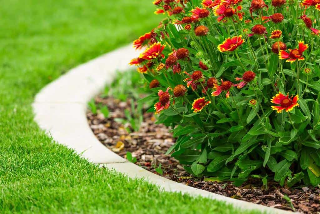 11 Garden Edging Ideas for a Sharp Yard
