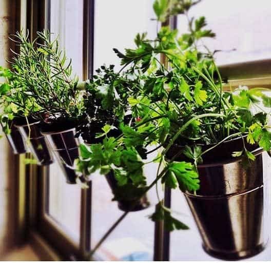 Window indoor herb garden ideas