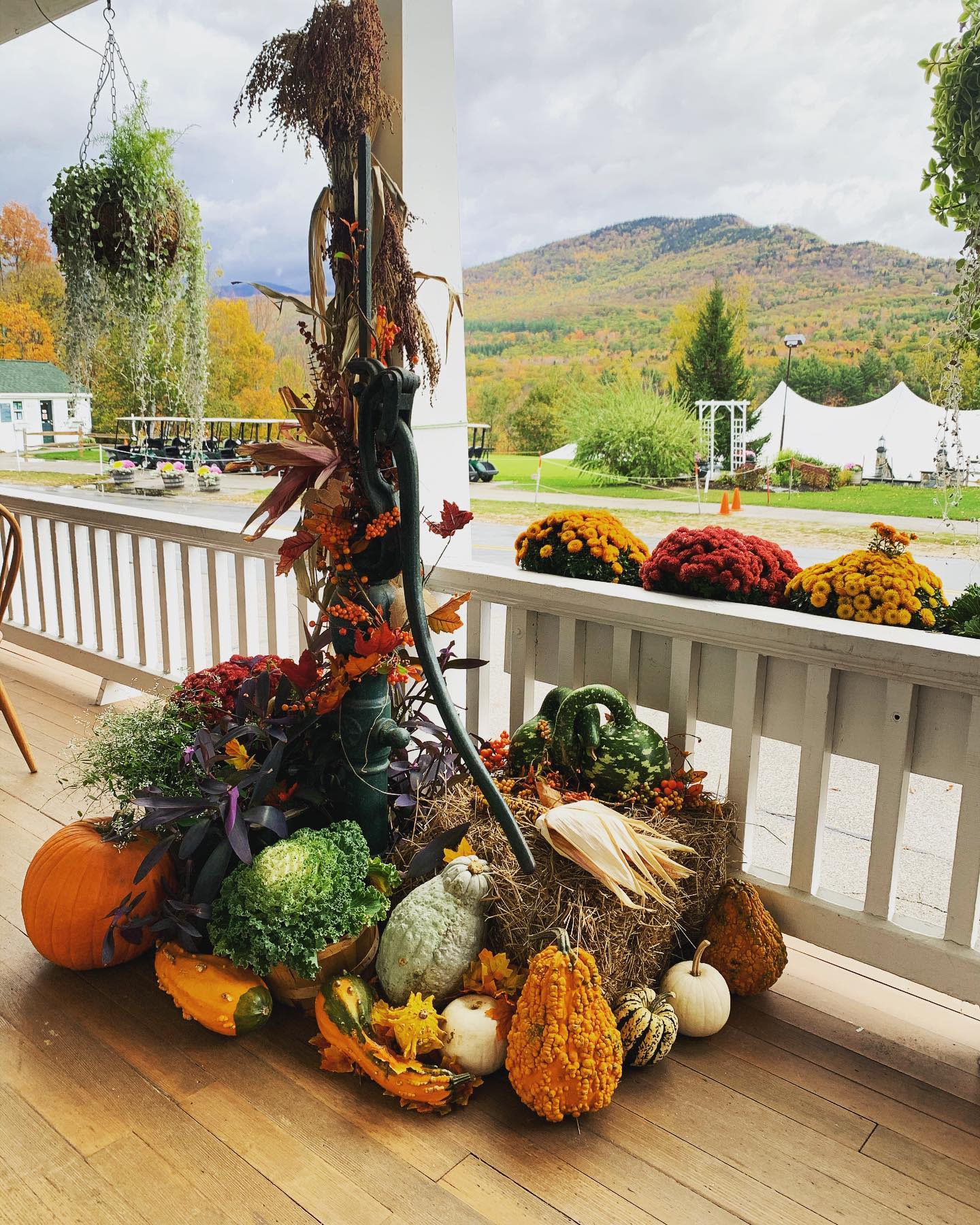 Harvest fall decor