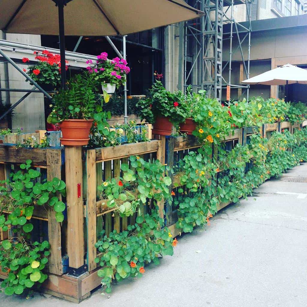 Garden pallet fence ideas