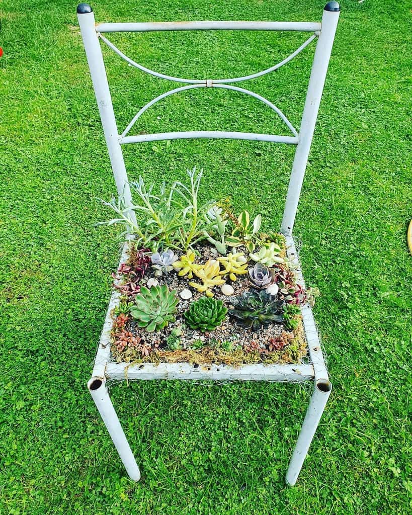Creative succulent garden ideas