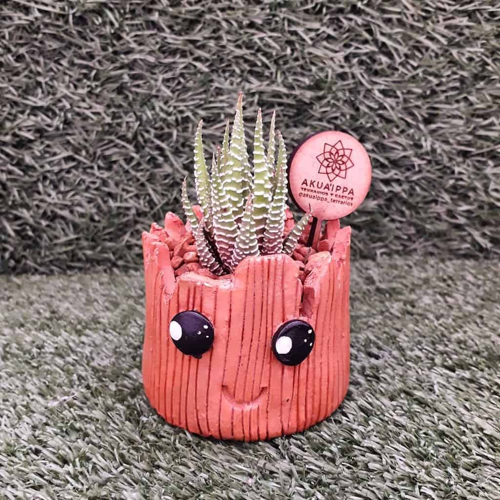 Cute pots for succulents garden ideas