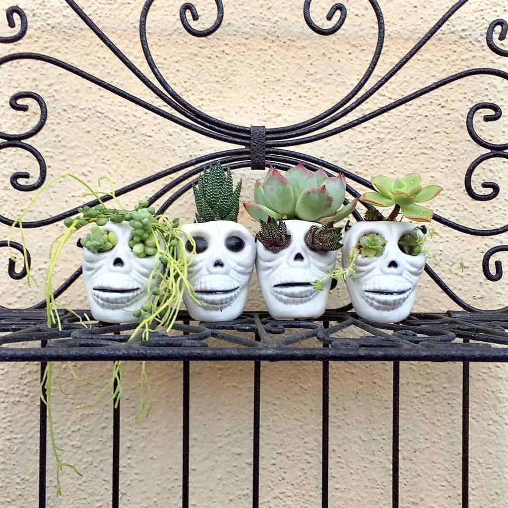 Cute pots for succulents garden ideas