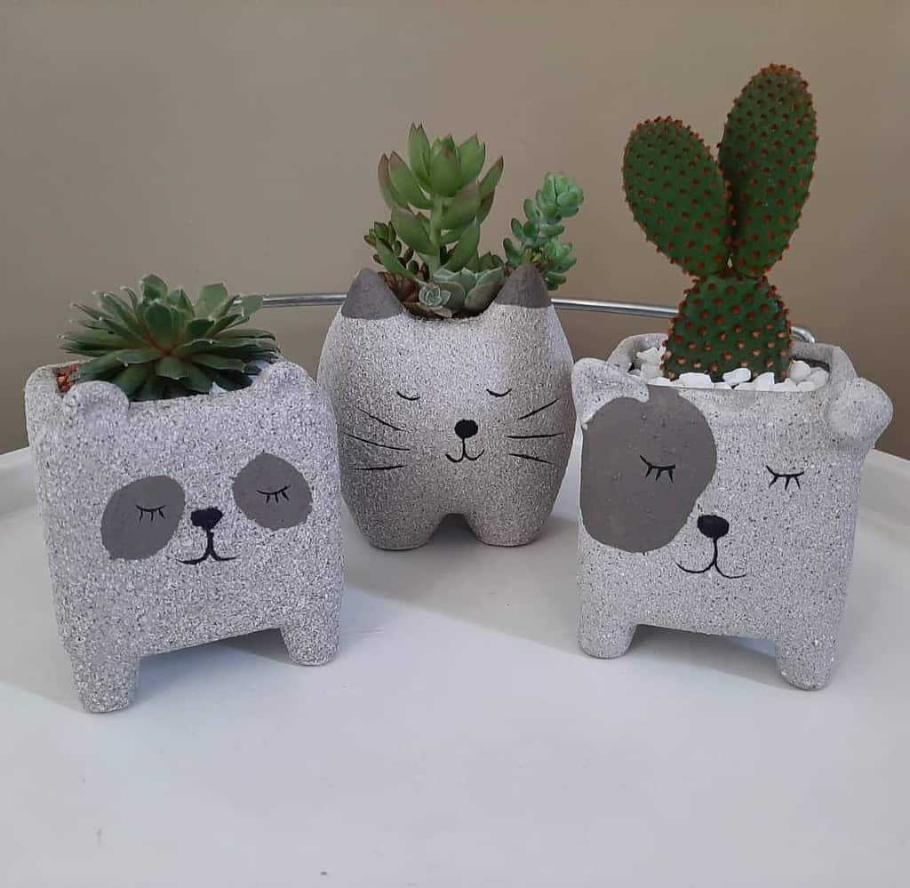 Cute pots for succulents garden ideas