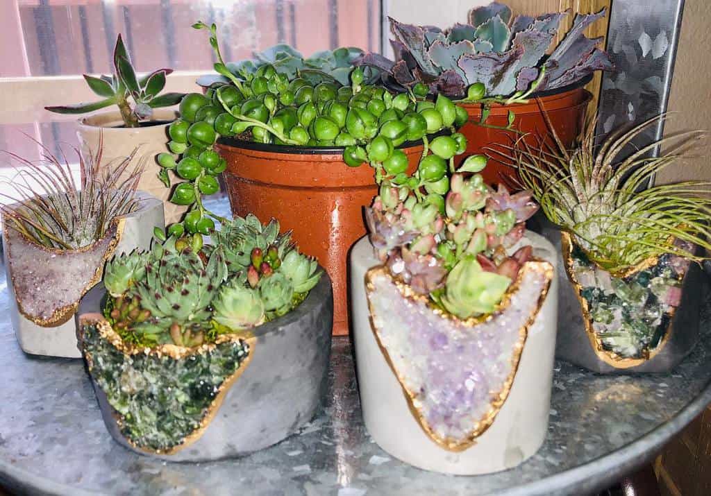 Cute pots for succulents garden ideas