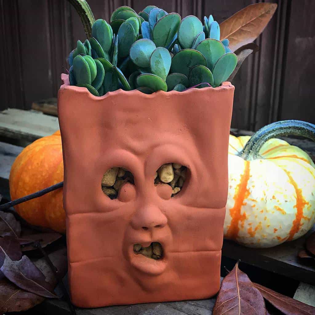 Cute pots for succulents garden ideas