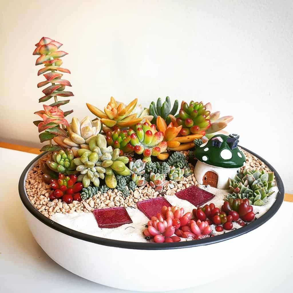 Dish garden succulent garden ideas