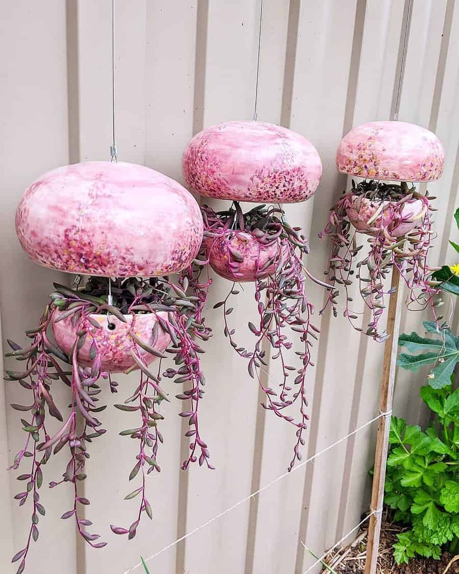 Hanging succulent garden ideas