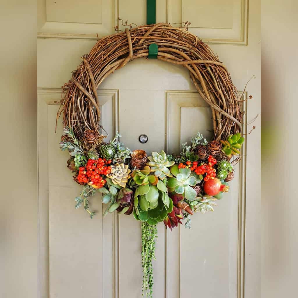 Hanging succulent garden ideas