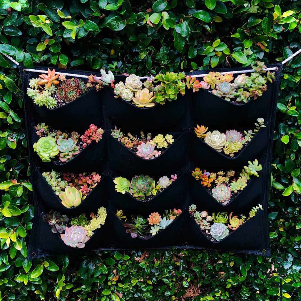Hanging succulent garden ideas