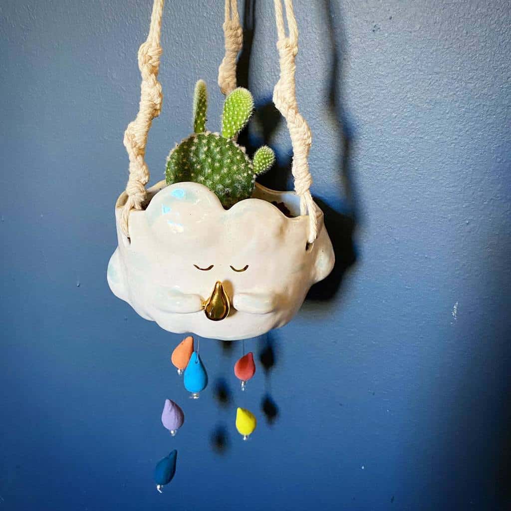 Hanging succulent garden ideas