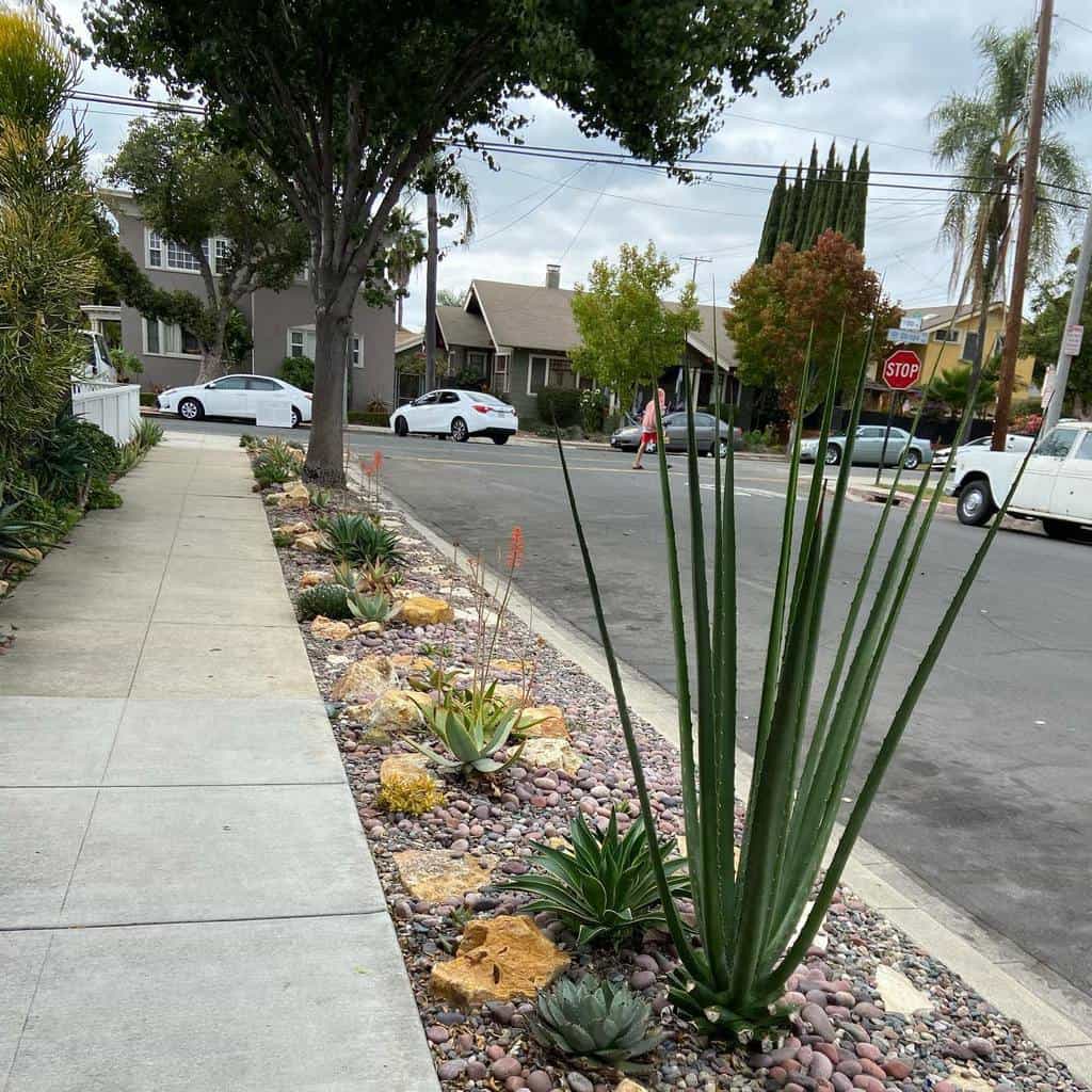 Landscape succulent garden ideas