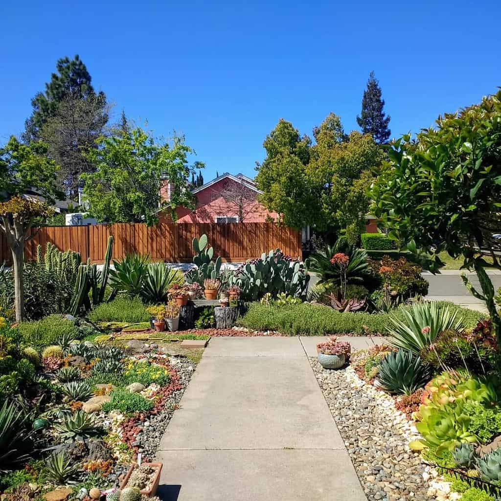 Landscape succulent garden ideas