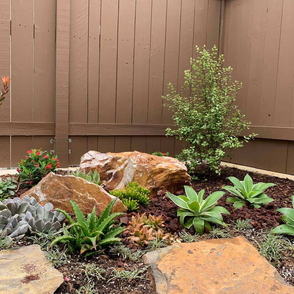 Landscape succulent garden ideas