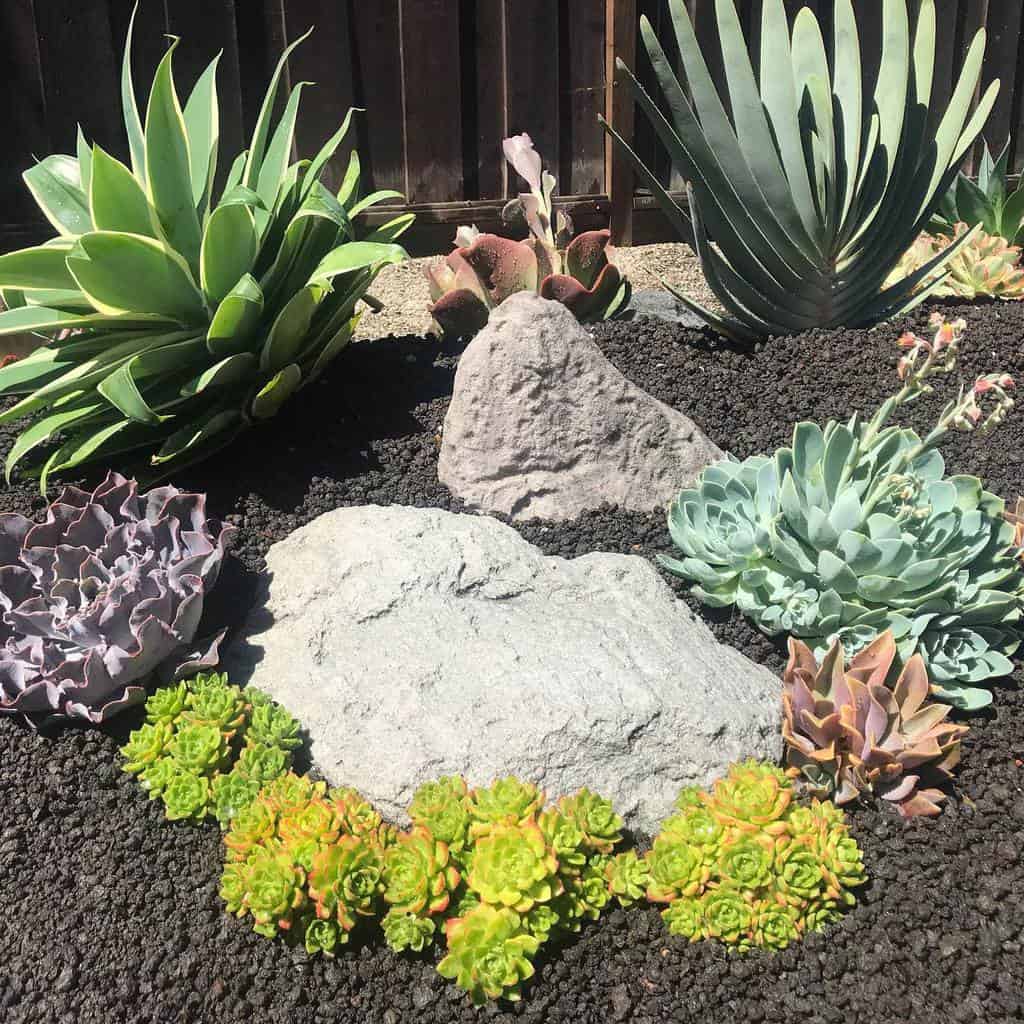 Landscape succulent garden ideas