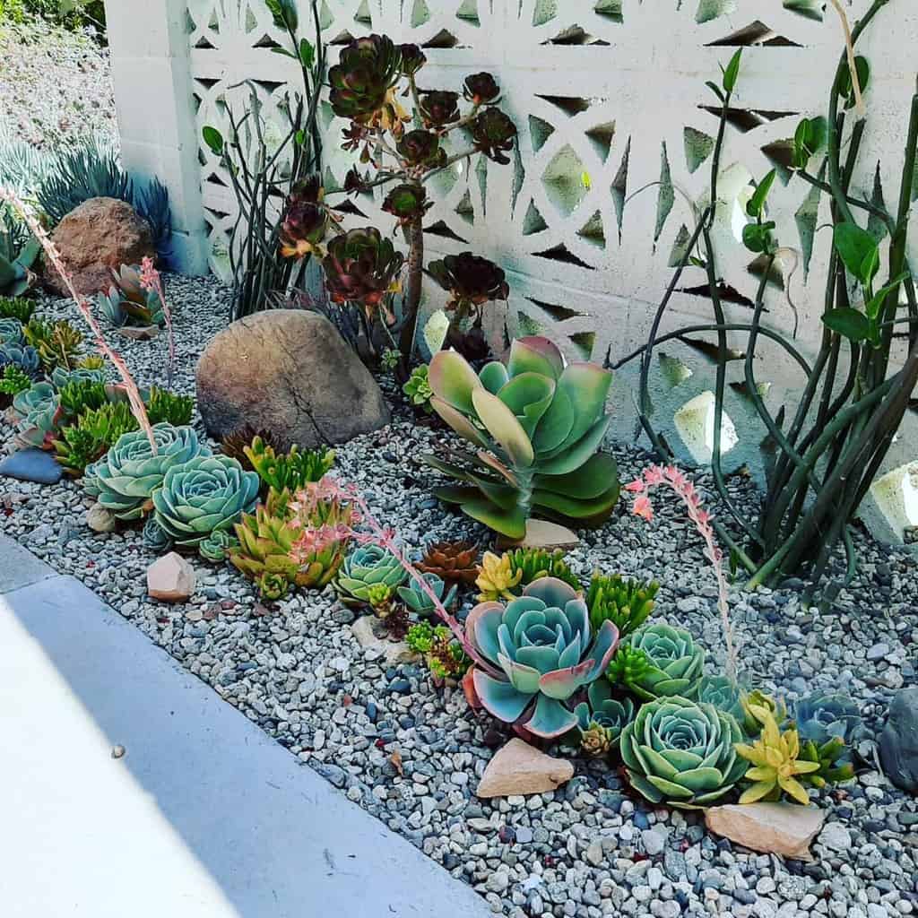 Landscape succulent garden ideas