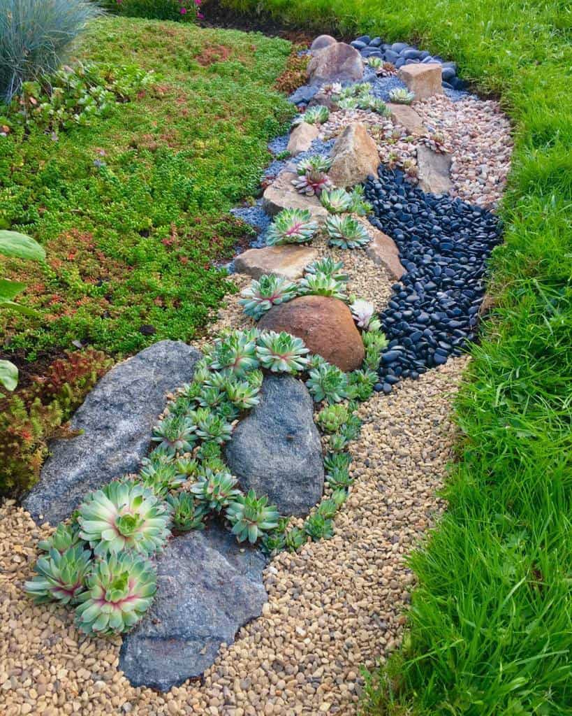 Landscape succulent garden ideas
