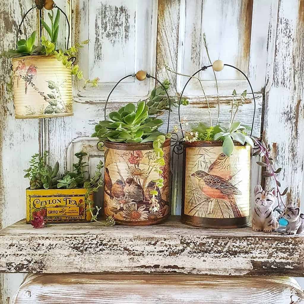 Potted succulents garden ideas