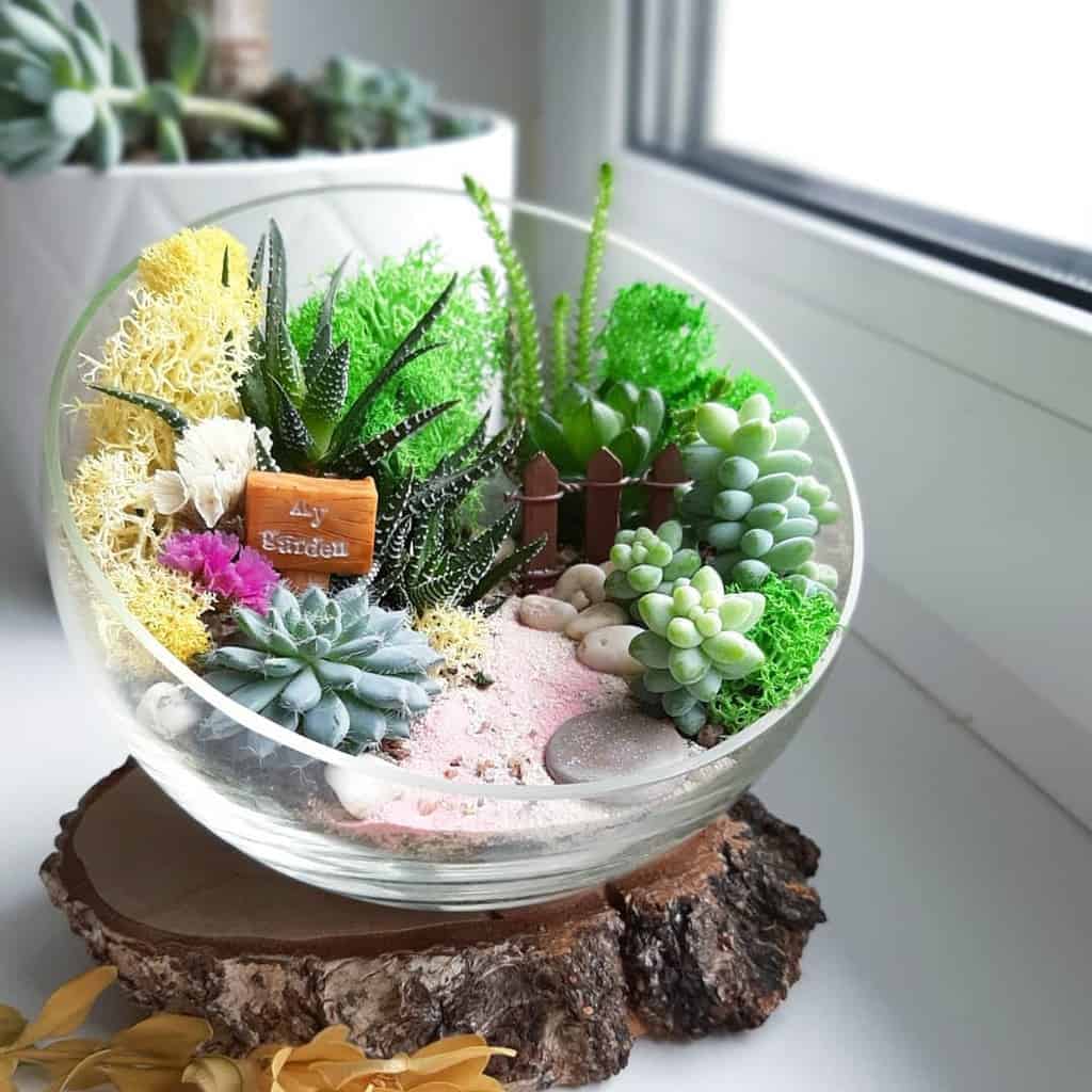 Terrarium succulent garden ideas