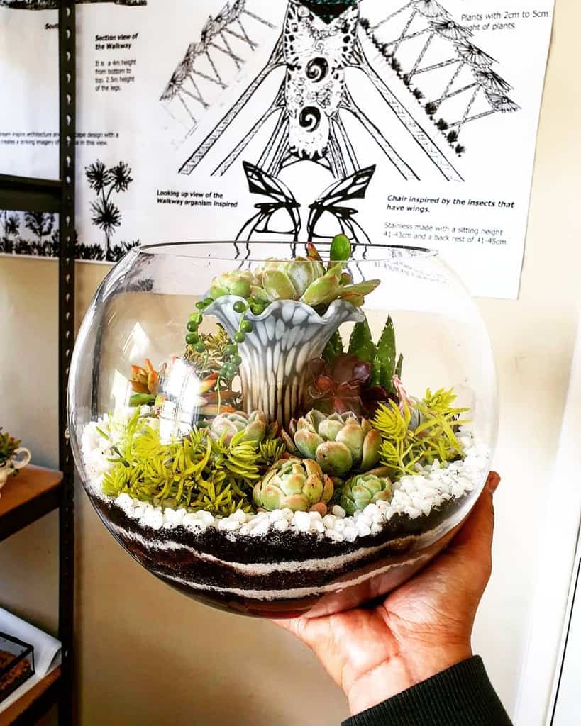Terrarium succulent garden ideas