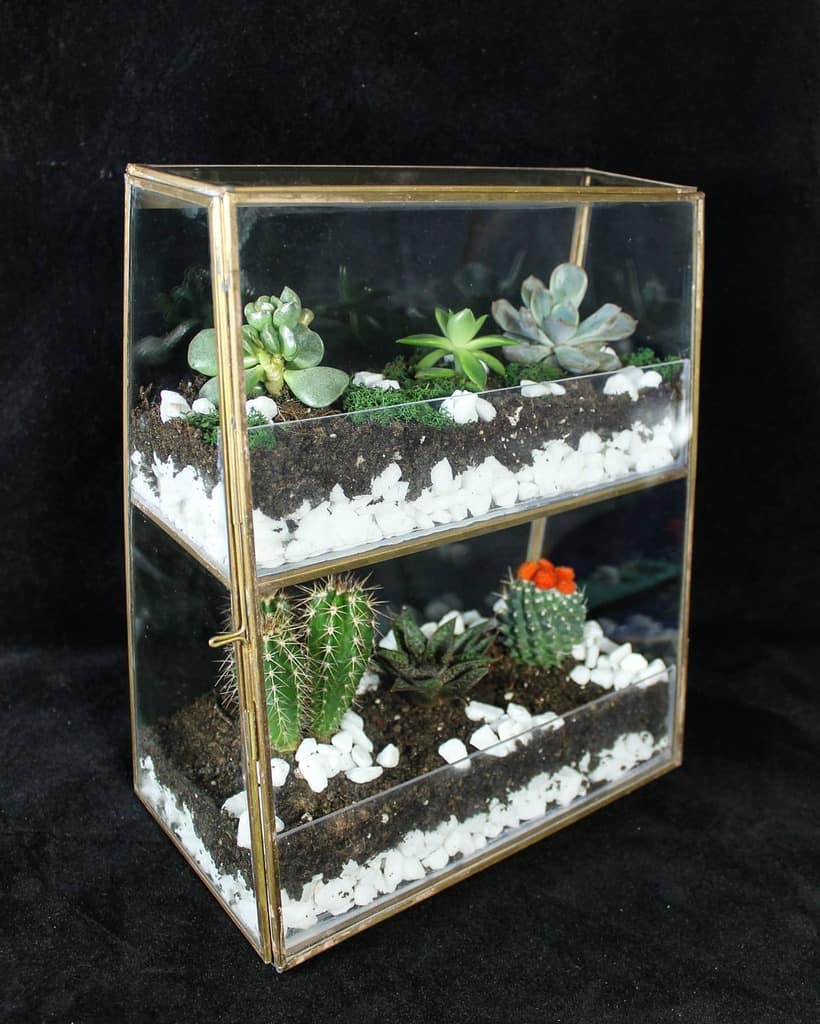 Terrarium succulent garden ideas
