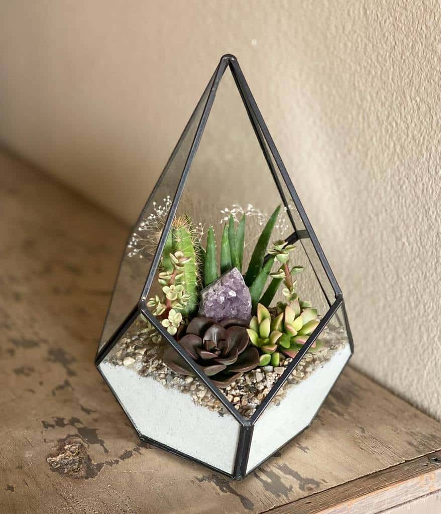 Terrarium succulent garden ideas