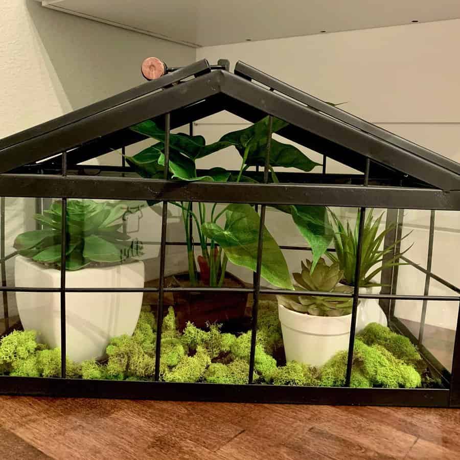 Terrarium succulent garden ideas