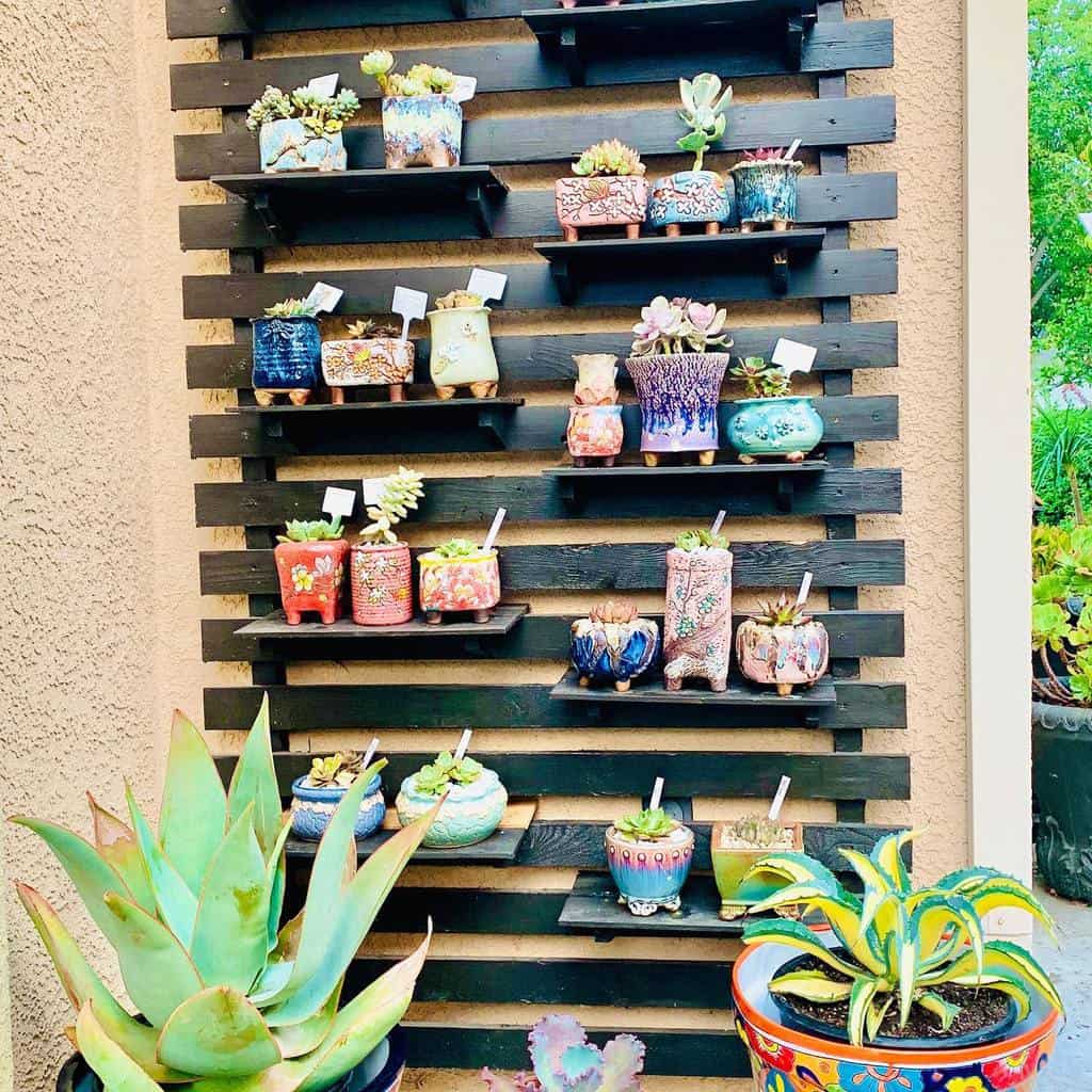 Vertical succulent garden ideas