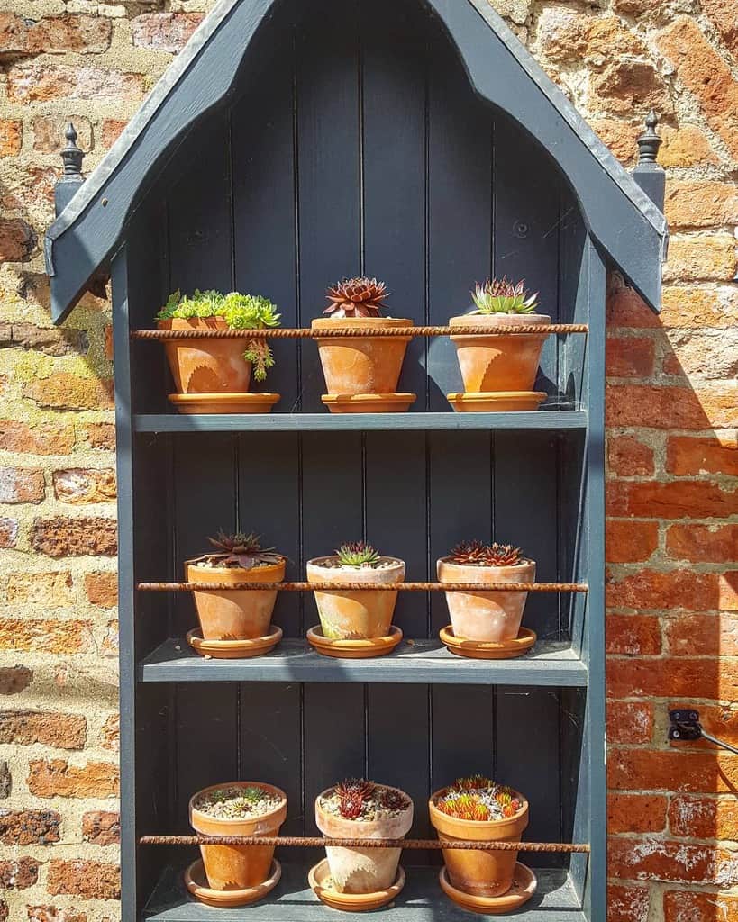 Vertical succulent garden ideas