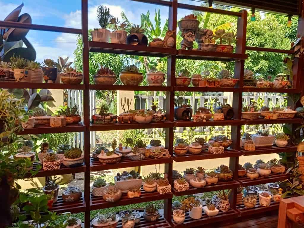 Vertical succulent garden ideas