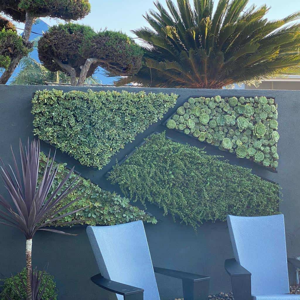 Wall succulent garden ideas