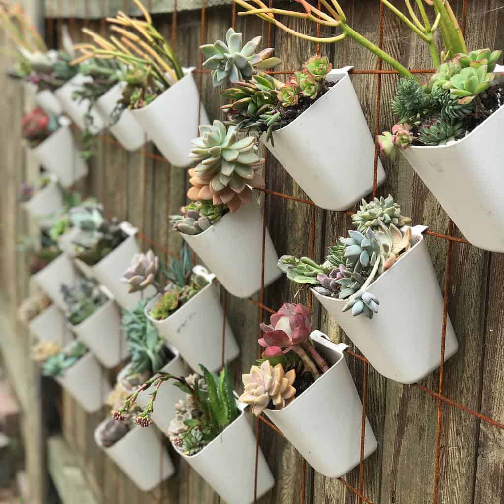 Wall succulent garden ideas