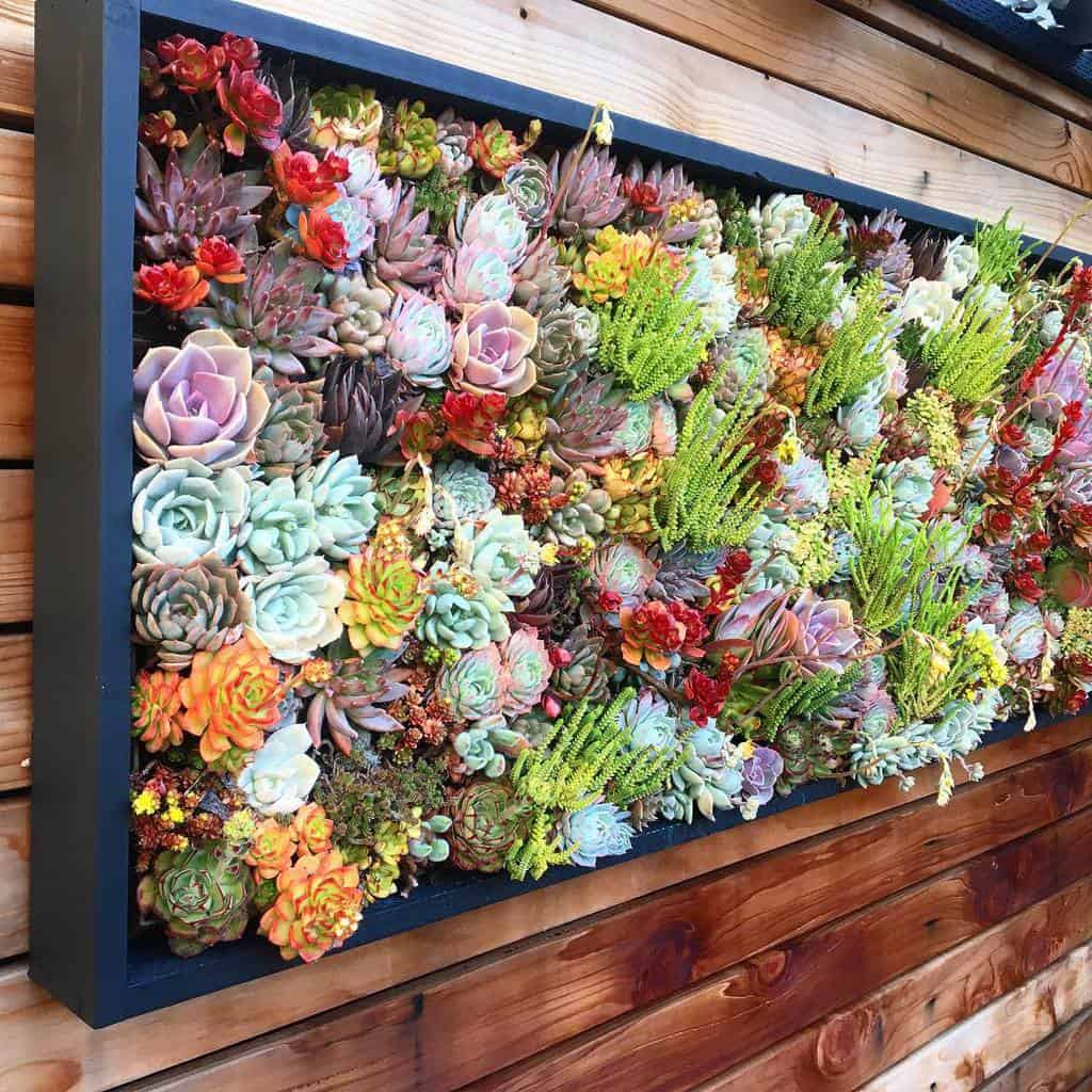 Wall succulent garden ideas