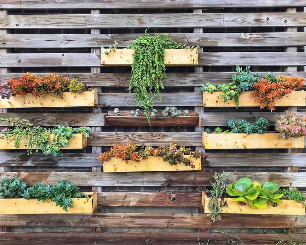 Wall succulent garden ideas