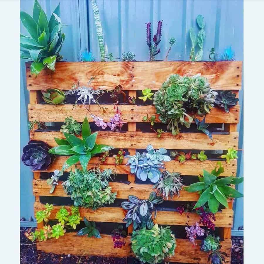 Pallet garden container