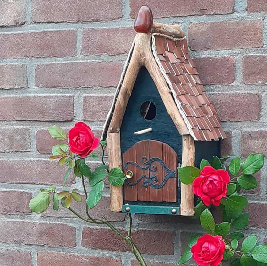 Cottage house birdhouse