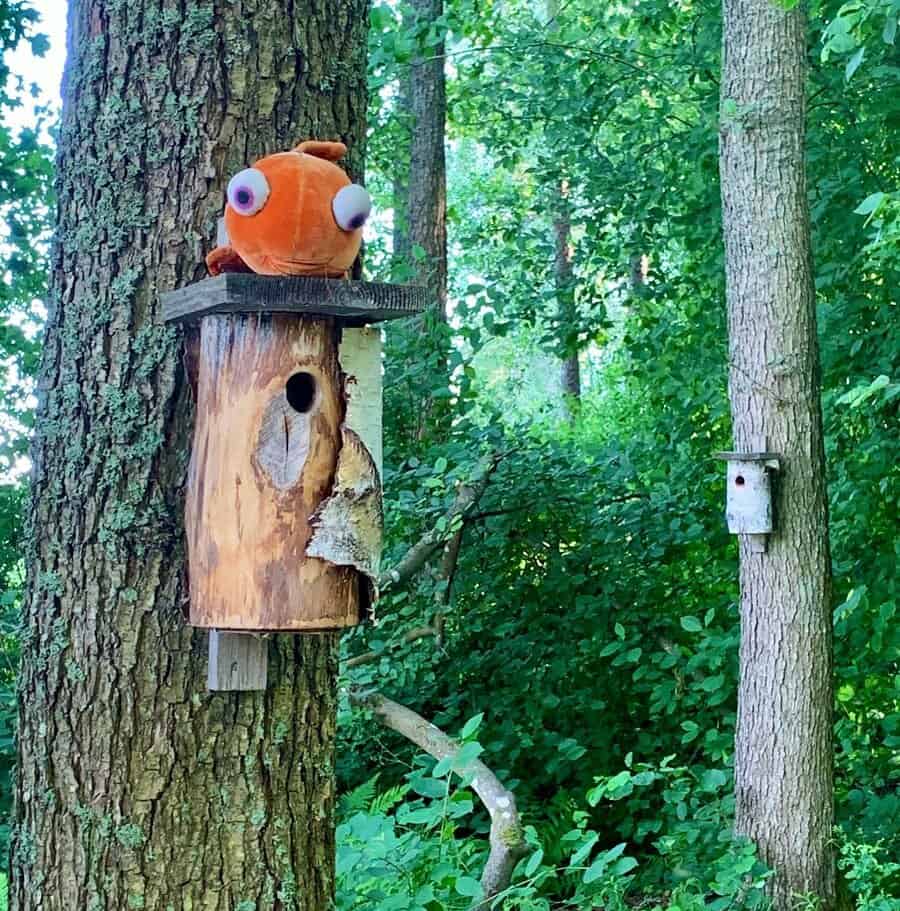 Camouflage plank birdhouse 