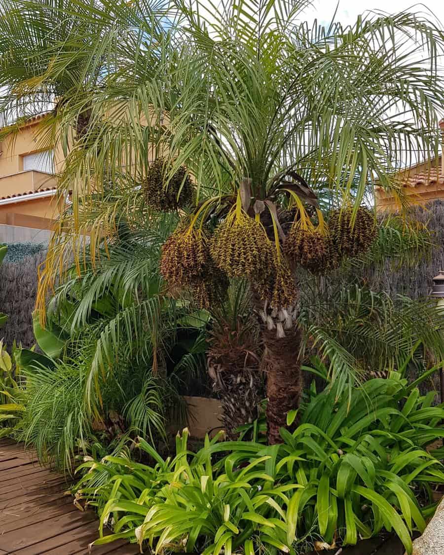 Landscape walk path islands