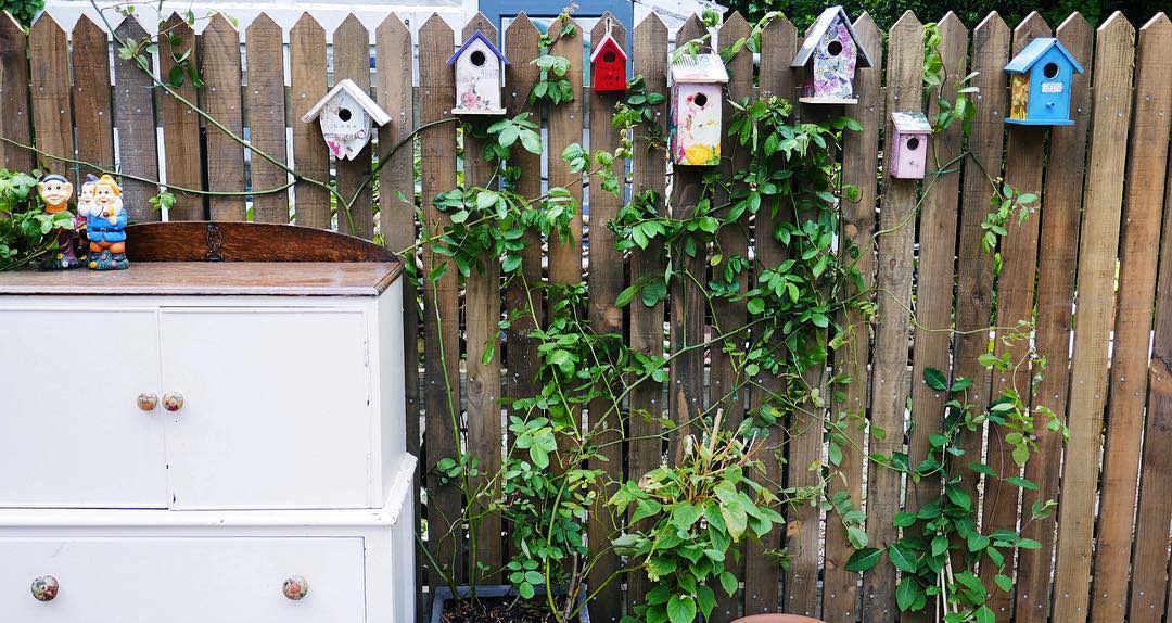 Multiple birdhouses
