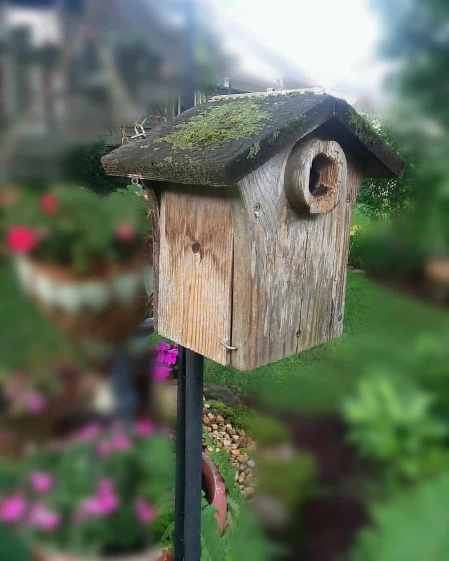 Mossy cottage birdhouse