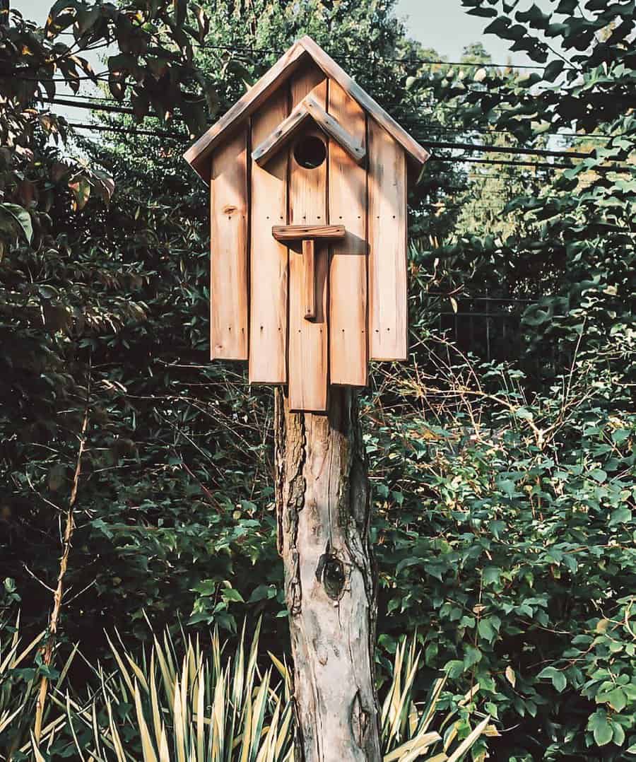 Rustic birdhouse