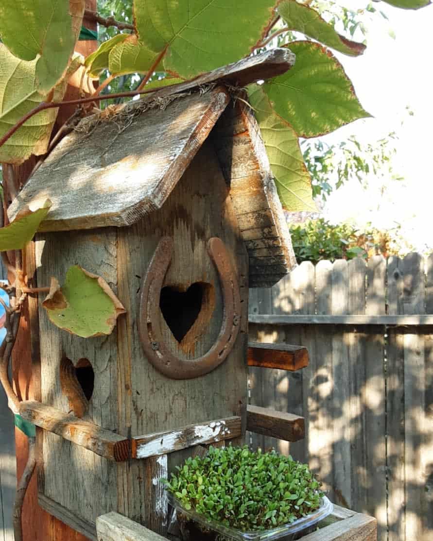 Rustic birdhouse