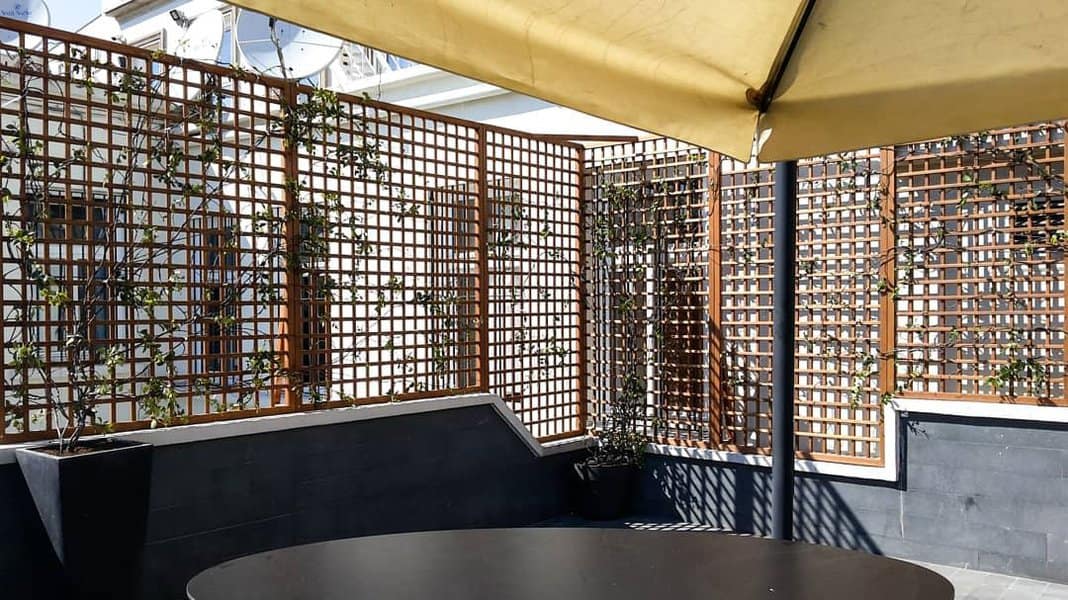 Outdoor seating area with geometric trellis and shade