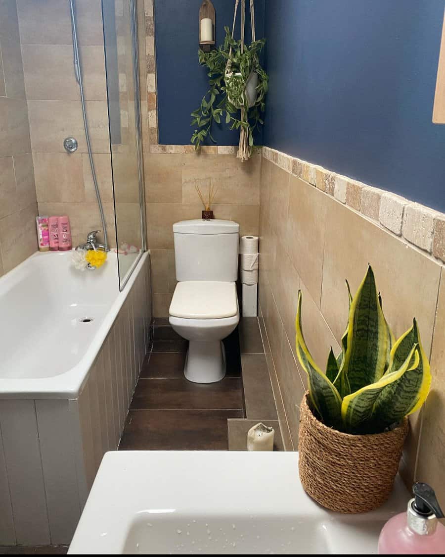 Blue and white bathroom design