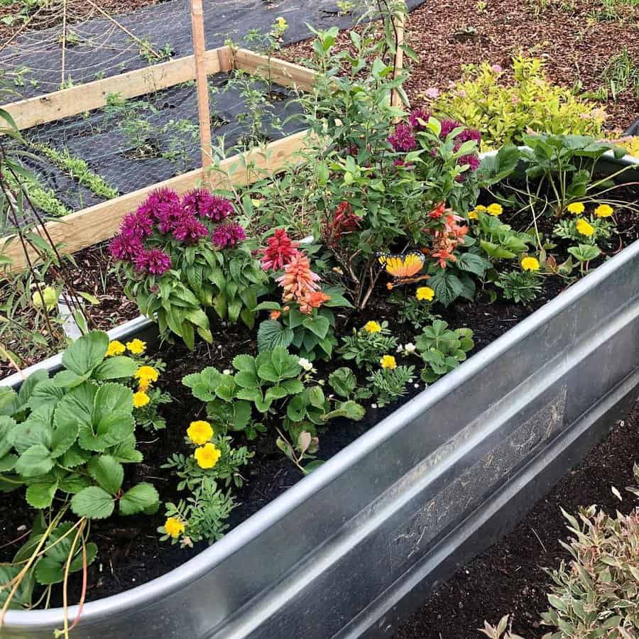 Metal raised bed