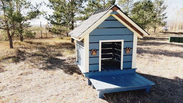 Cabin shiplap dog house