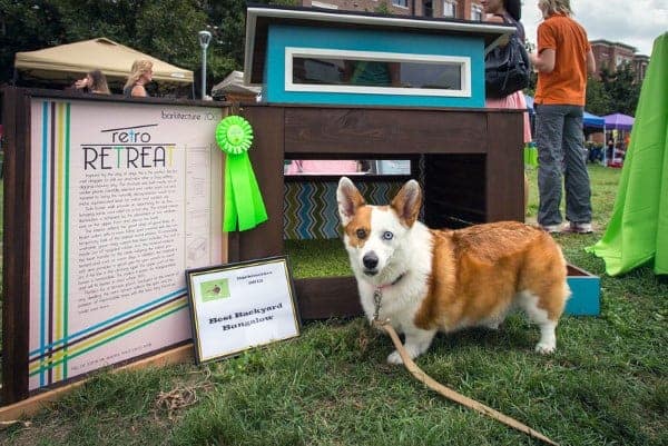 Modern dog house with windows
