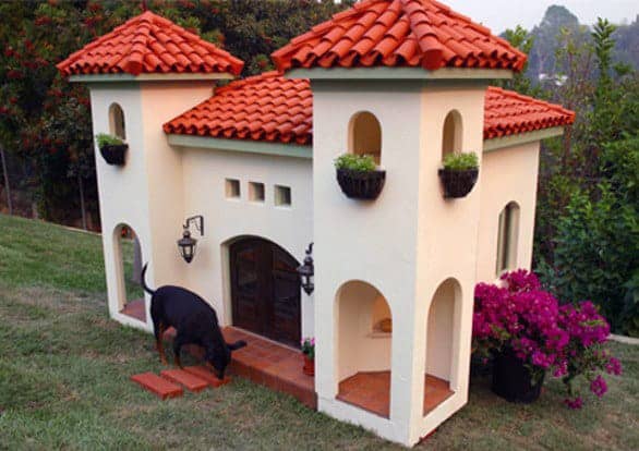 Dog mansion