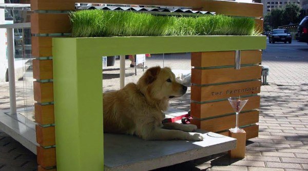 Dog house with artificial grass