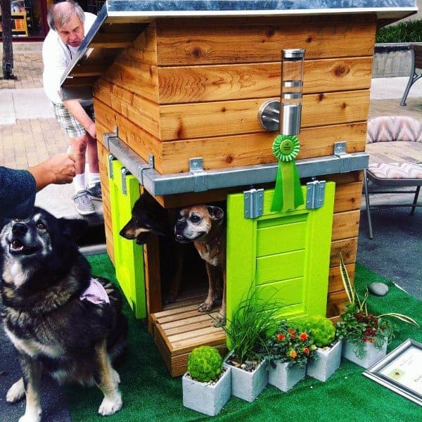 Dog house with plant boxes 